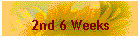 2nd 6 Weeks