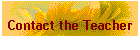 Contact the Teacher