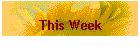 Plans Week by Week